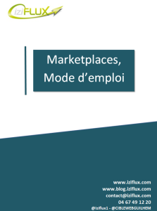 Livre Blanc Marketplaces 2013