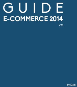 guide ecommerce 2014