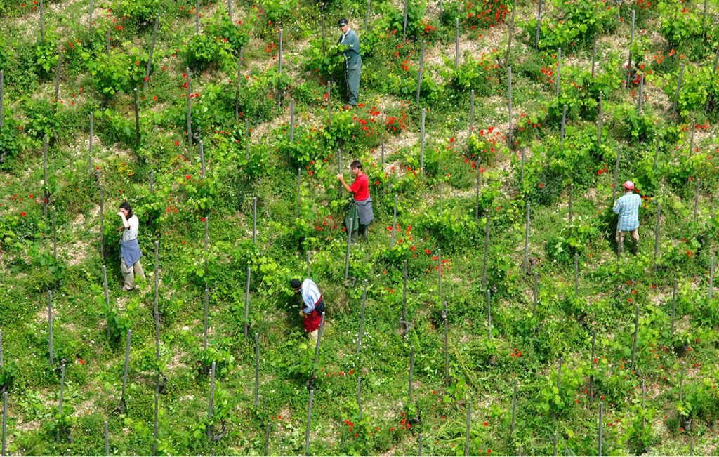 image_landing_1261x802