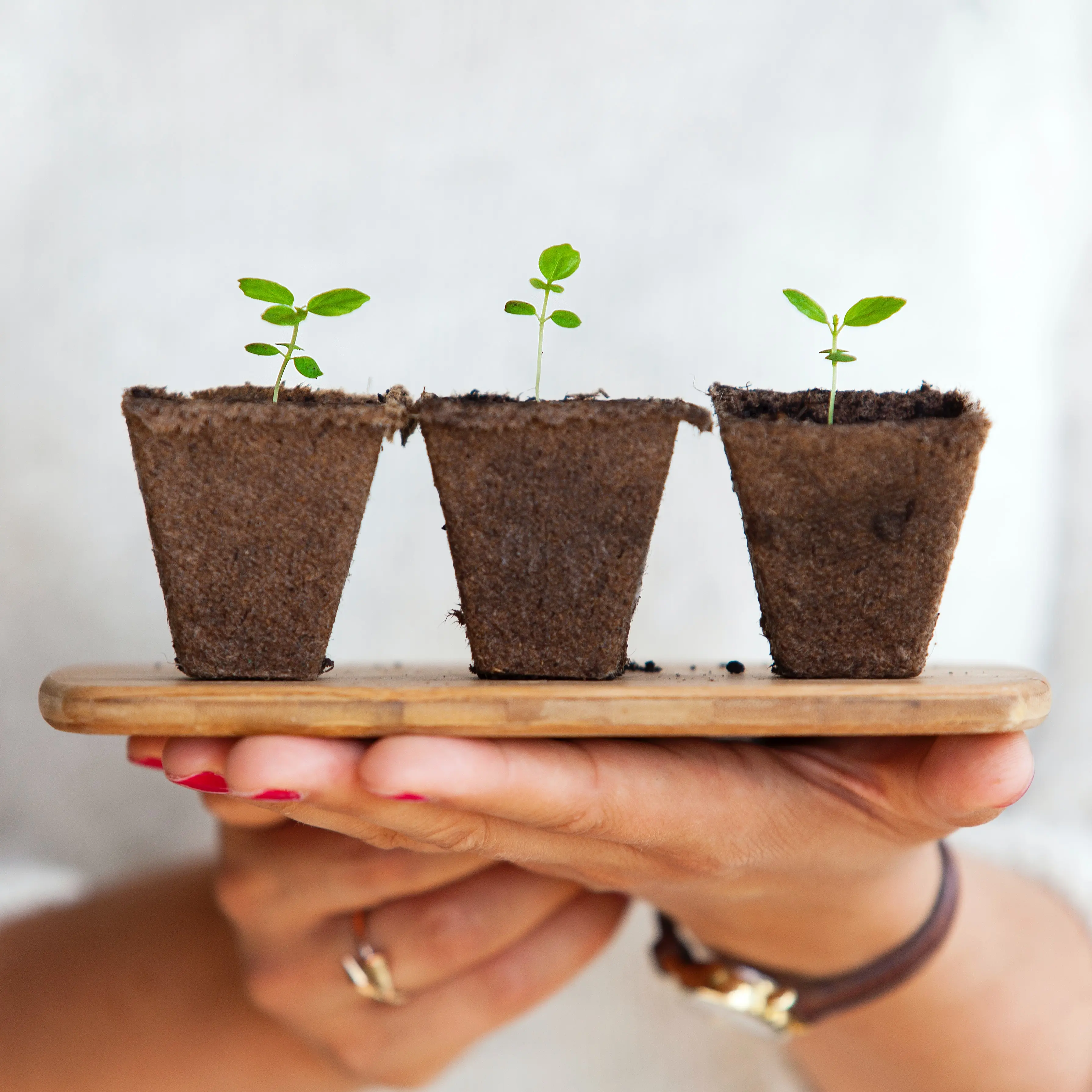 Lead Nurturing : faire mûrir les leads à leur rythme