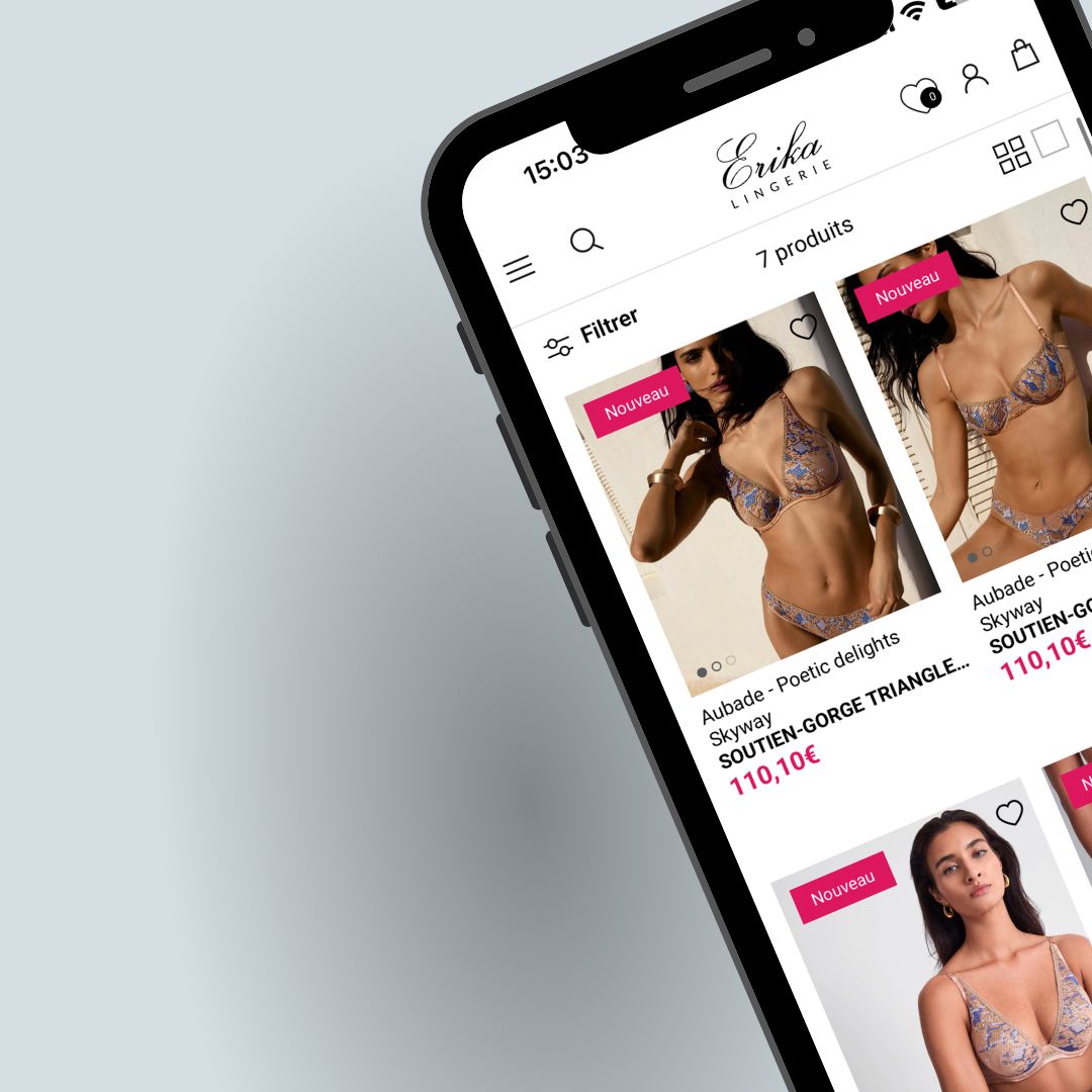 Capture d'écran t Migration Shopify - Erika lingerie - Dedi Agency - agence e-commerce