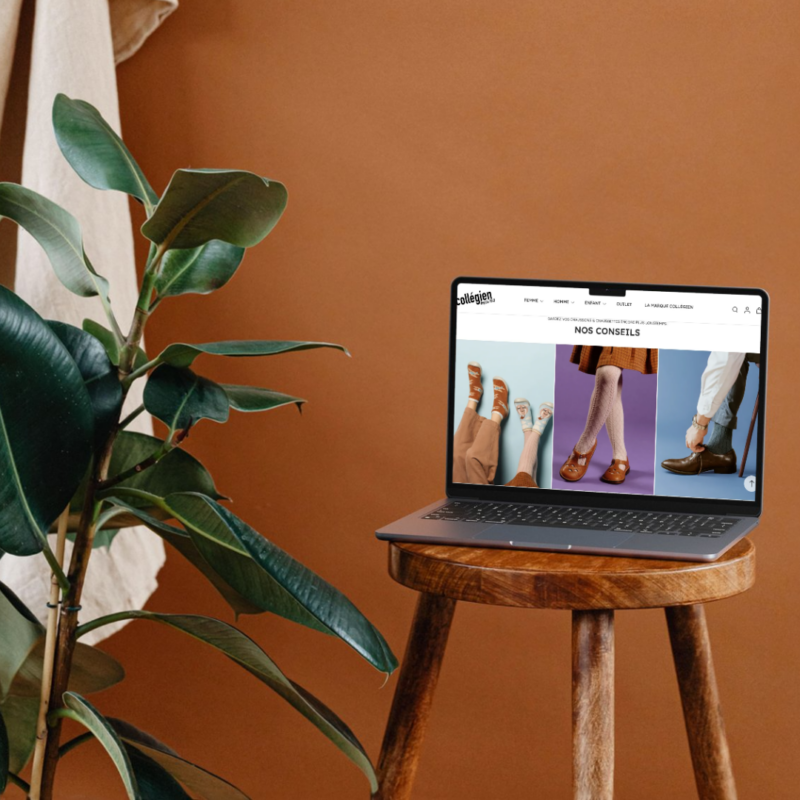 Migration Magento vers Shopify - Collégien - Dedi agency
